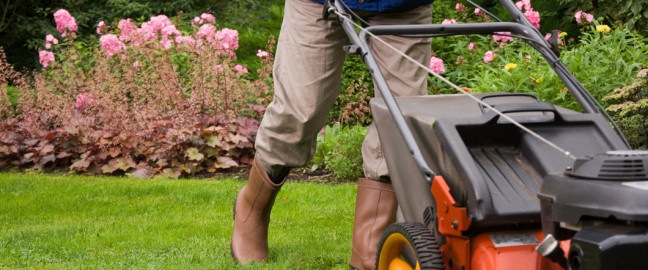 Landscaping, Outdoor Lighting, Paver Patios, Drainage, Irrigation About - Landscaping, Outdoor Lighting, Paver Patios, Drainage, Irrigation